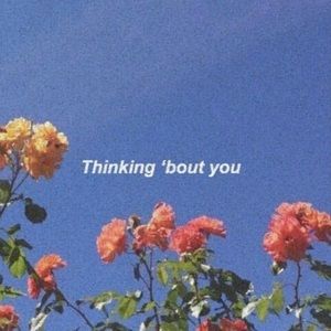 Meet your Posher, Elvira